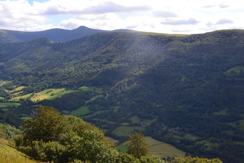 tree, tranquil scene, landscape, day, green color, scenics - nature, land, french landscapes, plant, auvergne, tranquility, mountain range, idyllic, forest