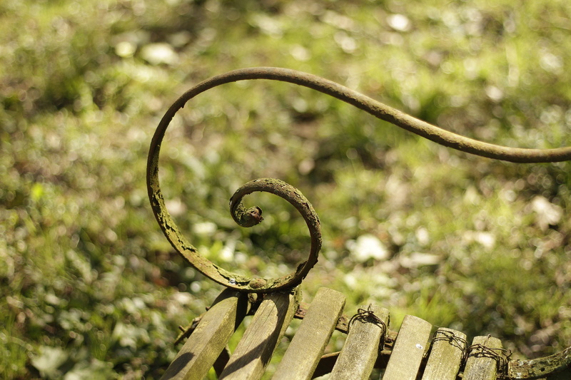 countryside, green color, 5K, old, outdoors, tendril, nature, metal, no people, curve, bench, spiral, rue de parmain, selective focus, rust, growth, france