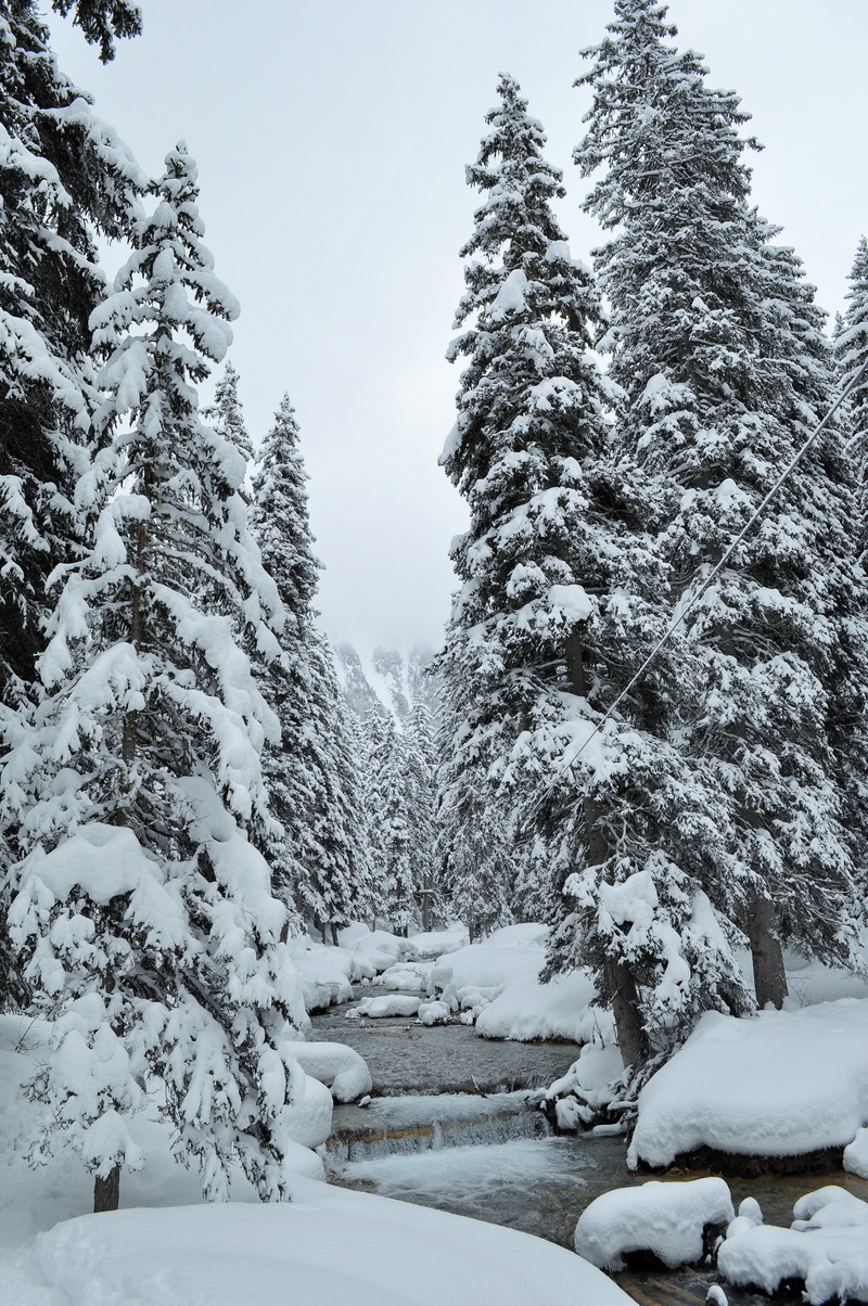 nature, haute-savoie, tranquility, no people, landscape, 4K, winter, tree, non-urban scene, tranquil scene, land, cold temperature, deep snow, alps, sky