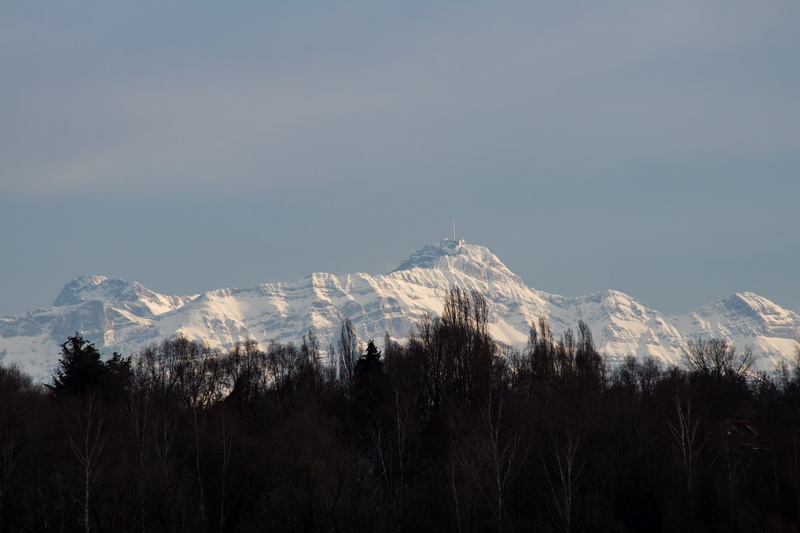 day, mountain, mountain range, vision, pine woodland, switzerland, cold temperature, nature, mountains, coniferous tree, mountain peak, alpine, environment