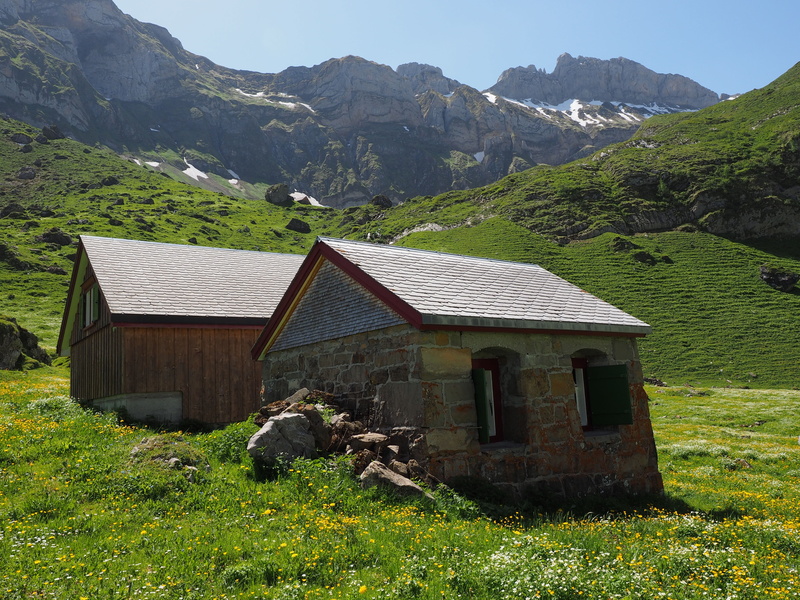 homes, innerrhoden, building exterior, environment, mountain, architecture, landscape, built structure, alpine village, mountain range, 4K, grass, alpstein region