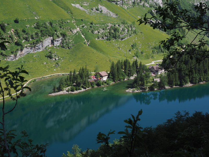 mountain, 4K, seealpsee, day, idyllic, green color, säntis, tranquility, idyll, hike, outdoors, growth, scenics - nature, plant, lake, land, non-urban scene