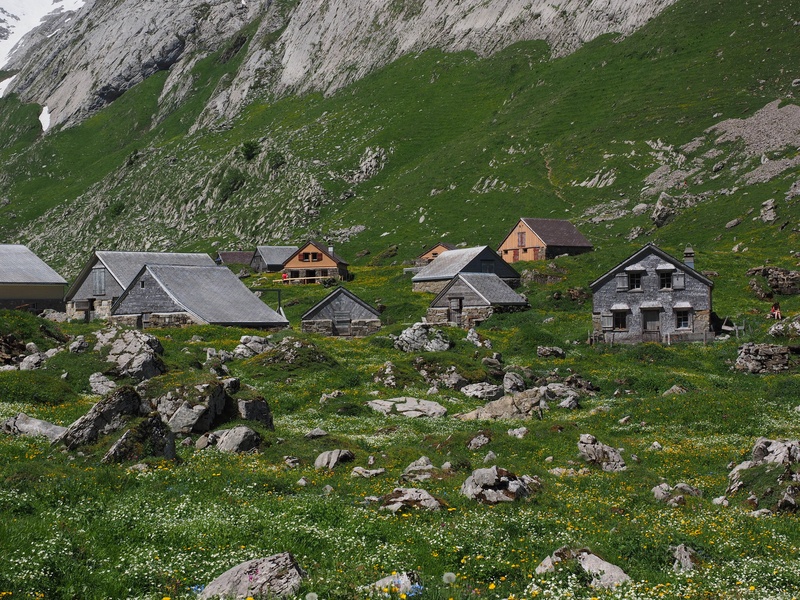 4K, appenzell, religion, bergdorf, architecture, switzerland, outdoors, nature, europe, migratory goal, day, chapel, alm, homes, grass, building exterior