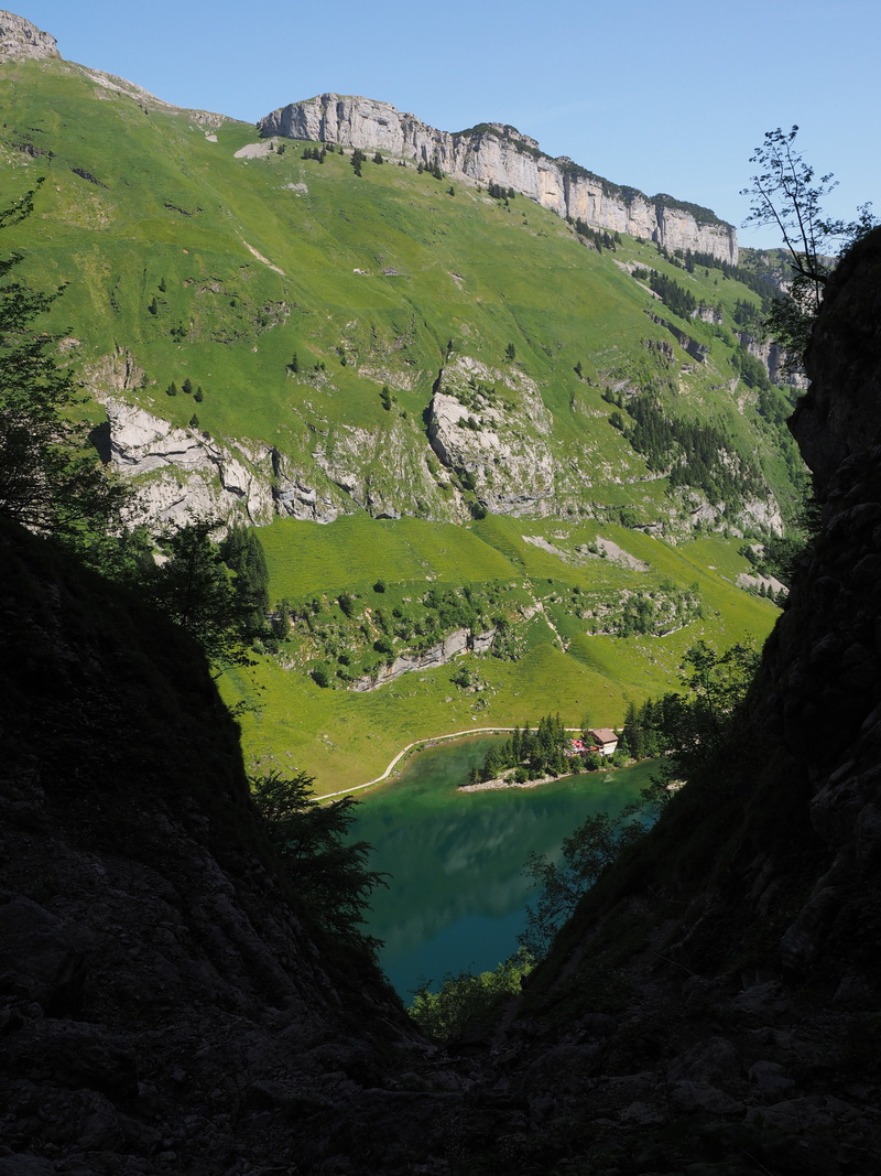 scenics - nature, landscape, green color, hike, nature, 4K, tranquility, mountain range, water, tranquil scene, beauty in nature, land, tree, mountain