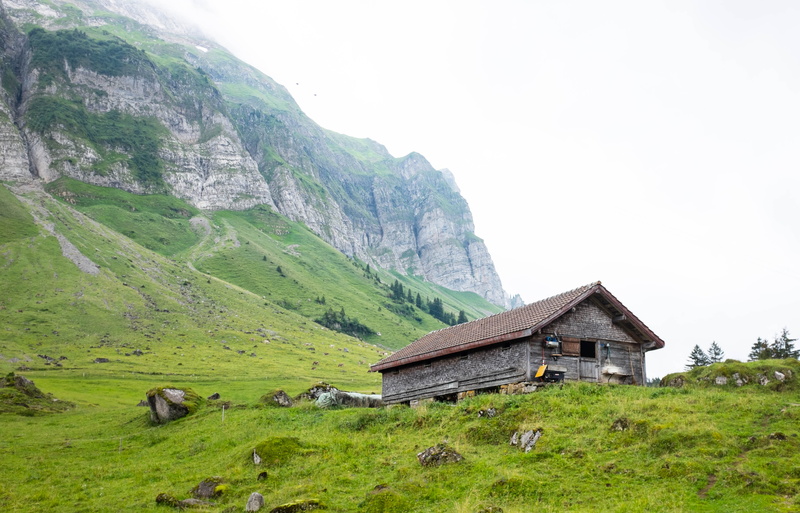 outdoors, green color, land, landscape, no people, appenzeller, livestock, built structure, sky, building exterior, scenics - nature, 4K, mountain, building