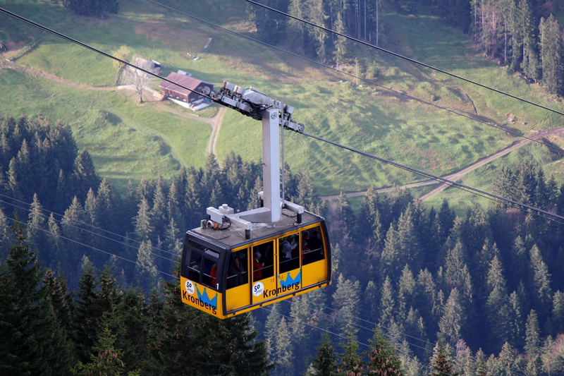 tree, scenics - nature, beauty in nature, alpine, cable car, travel, day, car, mode of transportation, gondola, yellow, appenzell, forest, transportation
