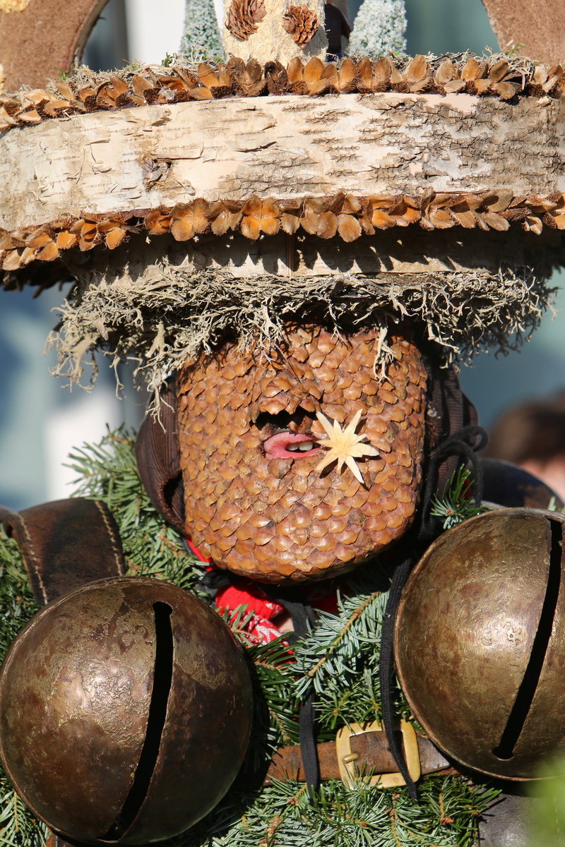 leaf, cultures, wood - material, animal themes, focus on foreground, potted plant, nature, plant part, holzhut, outdoors, plant, silvesterchlaus, representation