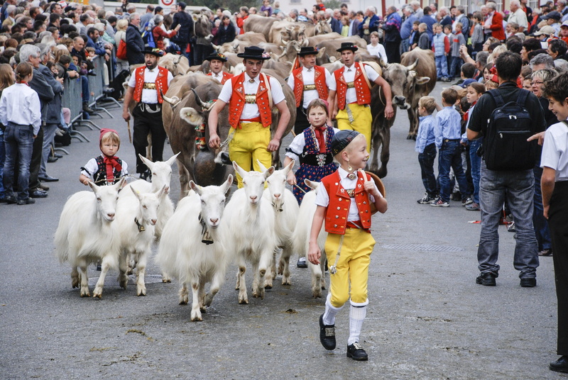 leisure activity, festival, large group of people, Appenzell, livestock, group of people, pets, arts culture and entertainment, women, spectator, outdoors