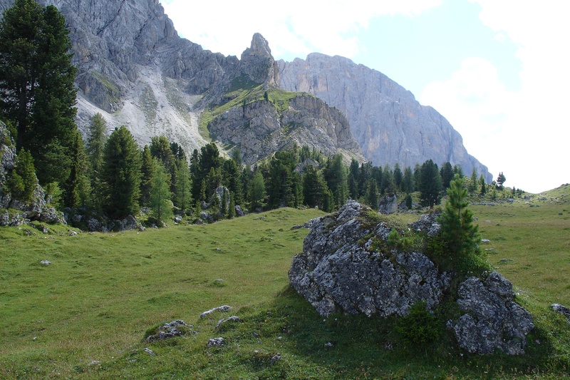 growth, rock - object, land, non-urban scene, beauty in nature, environment, no people, flowing water, sky, mountain, mountain peak, dolomites, tranquil scene