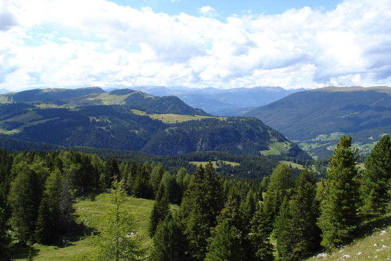 outdoors, tranquil scene, south tyrol, range, day, green color, beauty in nature, forest, coniferous tree, cloud - sky, no people, tranquility, scenics - nature