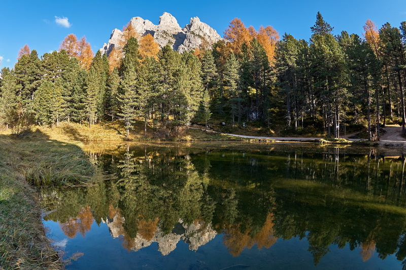 reflection lake, scenics - nature, pine woodland, sky, growth, non-urban scene, beauty in nature, plant, waterfront, land, lake, autumn, day, tranquility
