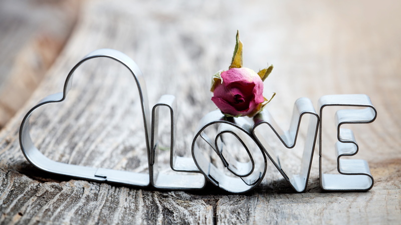 frame, I love you, gift, pink, metal, 5K, heart, Valentines Day, inscription, top, romance, white, flower, rose, love