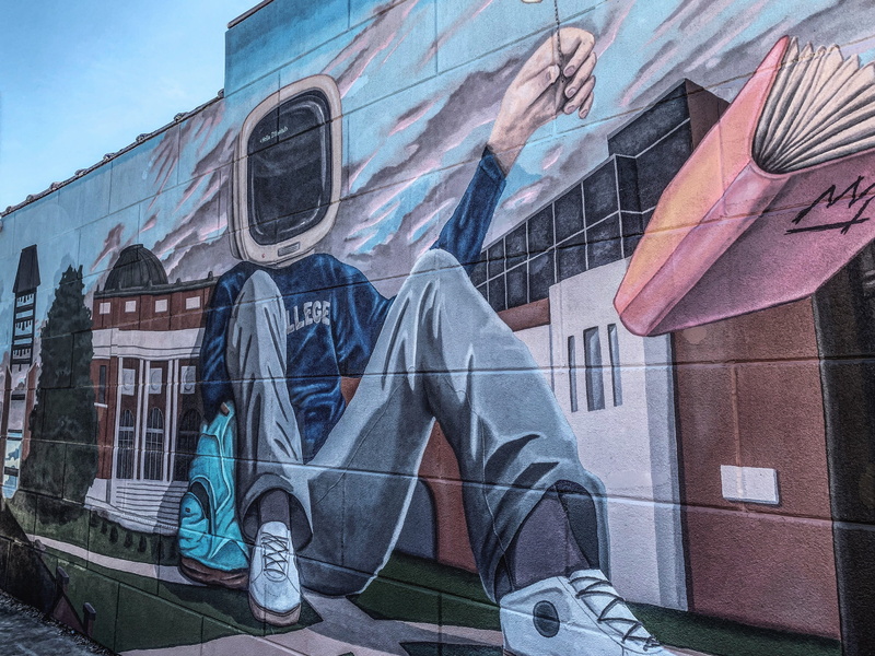 apparel, coat, dog, 1408 w gregory dr, city, shoe, art and craft, reflection, footwear, united states, canine, building exterior, one person, wall, 4K