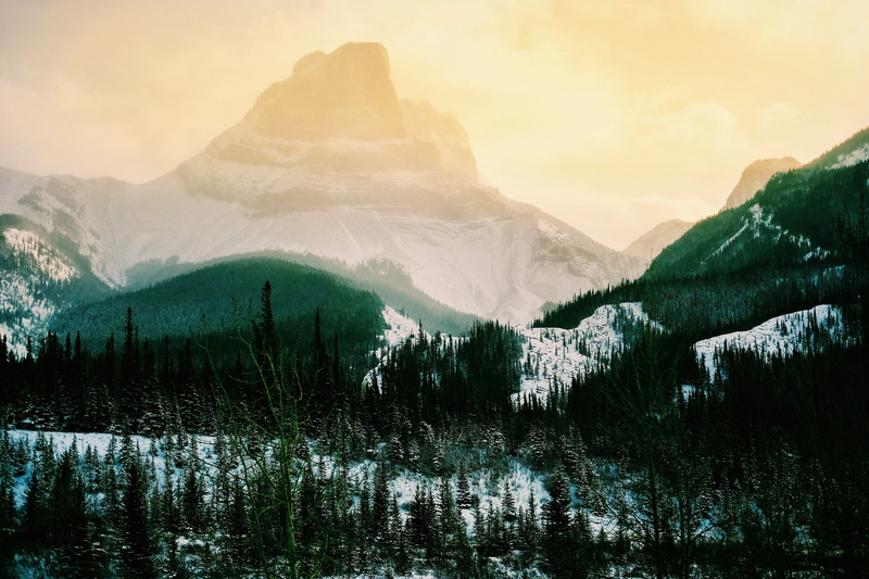 mountain Range, mountain, european Alps, alto Adige, trees, 4K, mountain Ridge, snow, fog, travel Destinations, landscape, beauty In Nature, valley, sun