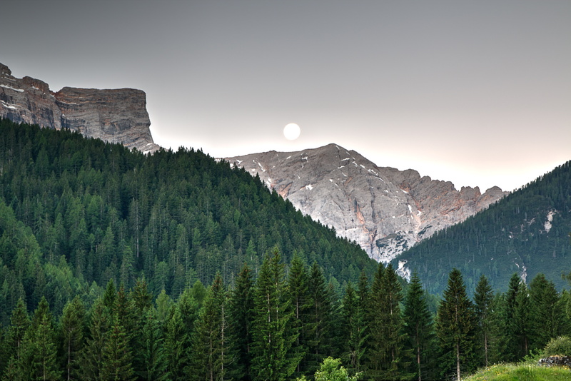 mountain, tree, alto Adige, scenics - nature, national Landmark, green, sky, pine, dolomites, woodland, tranquil Scene, tranquility, landscape, forest