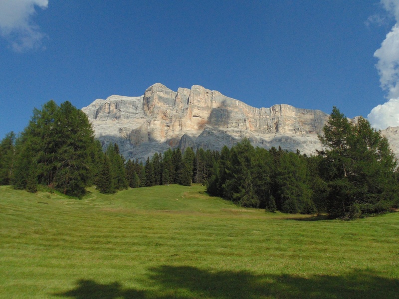 august, 2K, trees, day, mountains, sun, landscape, vista, grass, relaxation, mountain, beauty in nature, color, summer holidays, green, dolomites, tree