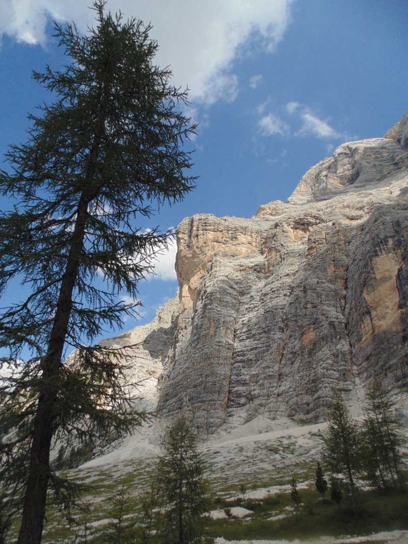 summer, holiday, trees, plant, tree, dolomites, trail, sky, eroded, nature, tranquility, ferrata, tranquil scene, 2K, outdoors, day, landscape, formation