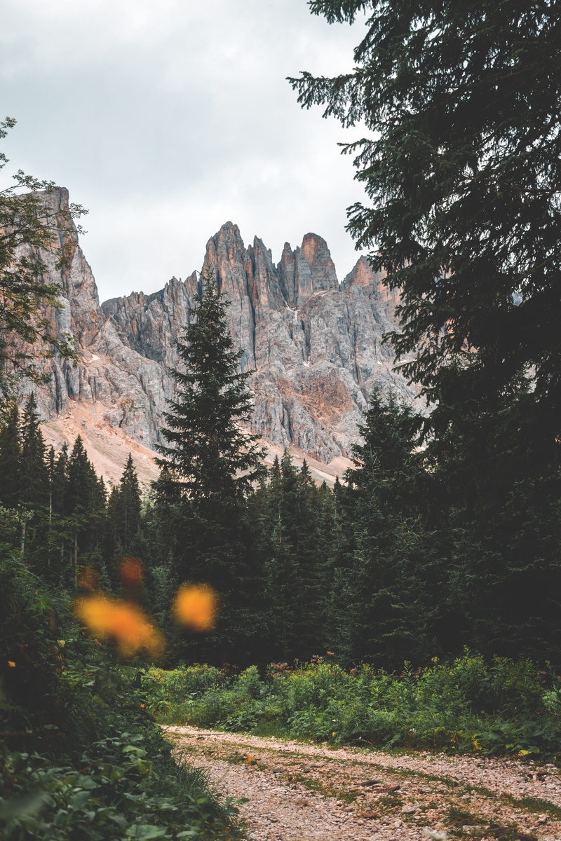 park - Man Made Space, blur, lost, 5K, autumn, near, path, el Capitan - Yosemite National Park, scenics, pathway, landscape, trees, sky, travel, national Park