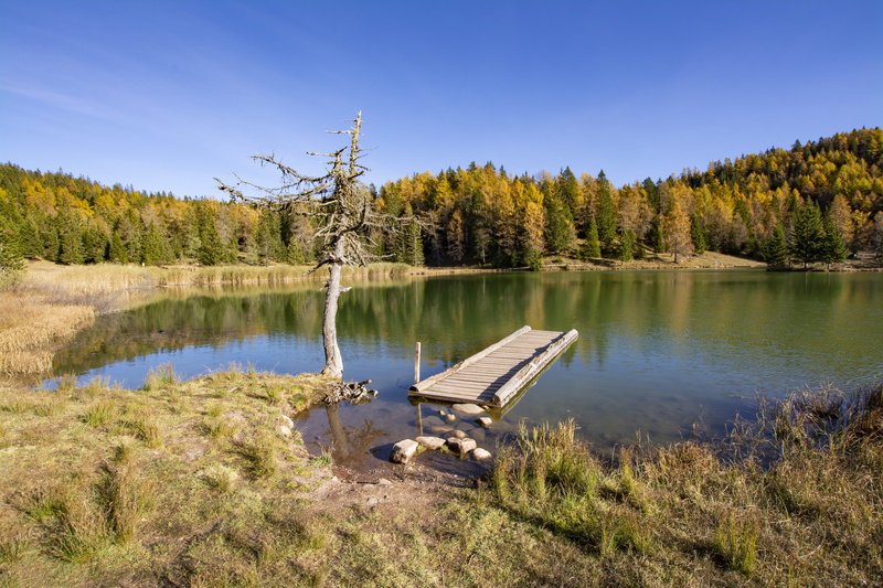 scenics - nature, autumn, 5K, alto adige, lake, tranquil scene, woodland, mountain, moor, tretsee, south tyrol, plant, evergreen tree, beauty in nature