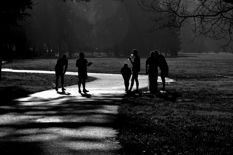wellness, running, outdoor fitness, jogger, marathon, real people, healthy, young, exercise, shadows, park, recreation, women, active lifestyle, walking