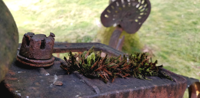 close-up, tree, 4K, united kingdom, plant, rusty, highland, glencoe, sculpture, animal representation, a82, nature, farm machinery, outdoors, statue, day