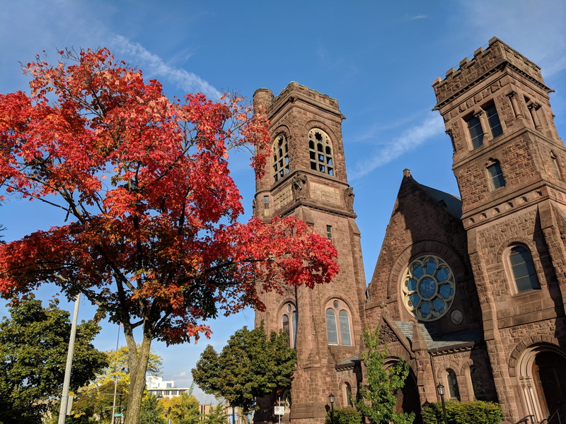 milwaukee, plant, united states, day, history, building exterior, architecture, clock, religion, building, 4K, tower, belief, sky, change, autumn, no people