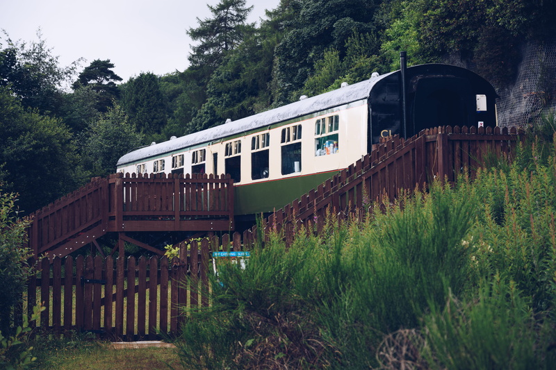 bridge, wind, mode of transportation, trees, green color, 5K, bridge - man made structure, plant, green, land, connection, rail transportation, no people