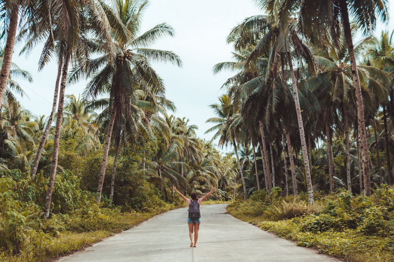 tarmac, road, arbour, woodland, the way forward, lifestyles, real people, palm tree, plant, tree, phillippines, rear view, growth, asphalt, 4K, nature