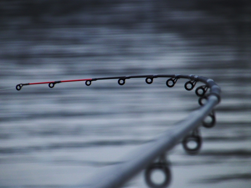 drop, tranquility, text, jerry k, Danube, safety, hanging, outdoors, Rods, rod, no people, raindrop, fishing rods, rippled, selective focus, black, 4K