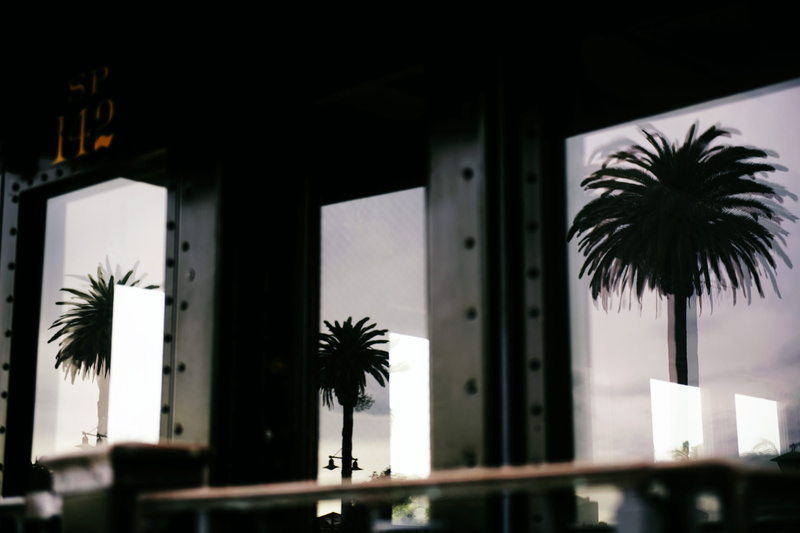 three, built structure, tree, no people, architecture, black, tropical climate, silhouette, growth, palm leaf, windows, plant, walls, low angle view, window