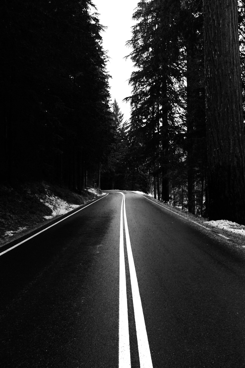 long, road marking, united states, 5K, no people, tranquil scene, national park, day, direction, symbol, plant, empty road, the way forward, growth, black and white