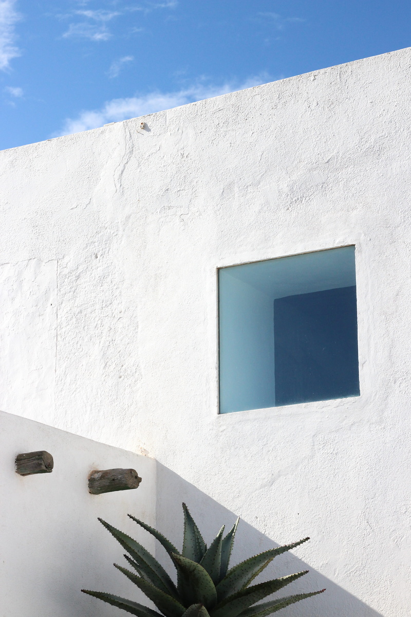 architecture, white color, shadow, building exterior, wall, day, black, wall - building feature, focus on shadow, low angle view, built structure, plant