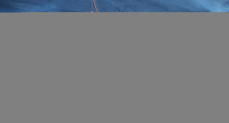 unrecognizable person, mature adult, hopelessness, copy space, blue, wood - Material, snow, winter, cartoon, land, bear, silhouette, hat, robot, nature