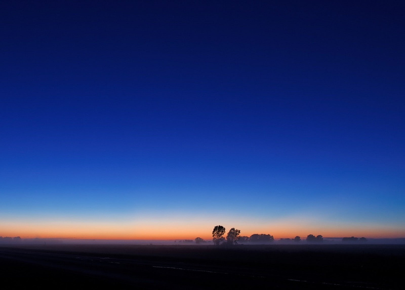 beauty in nature, sunset, sky, mammal, landscape, animal wildlife, environment, trees, land, animal themes, scenics - nature, outdoors, 720P, distant