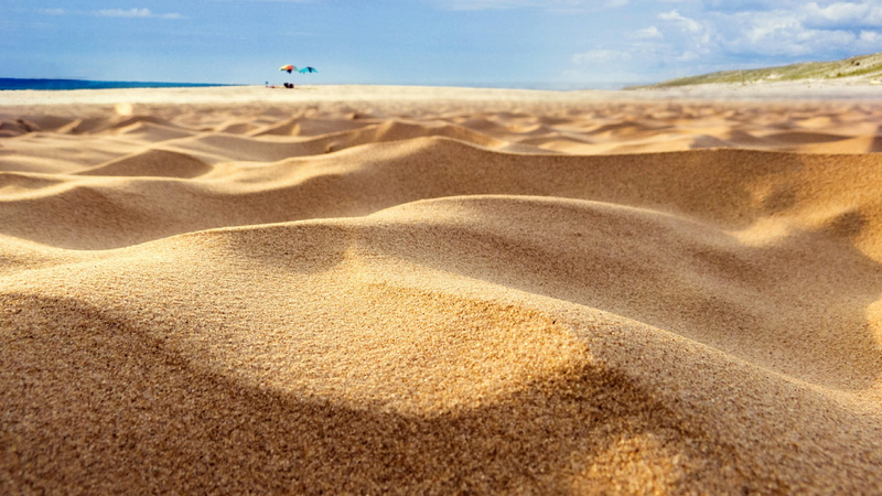 sand dune, sky, animal wildlife, climate, tranquil scene, scenics - nature, environment, outdoors, distant, land, close up, animal, nature, arid climate
