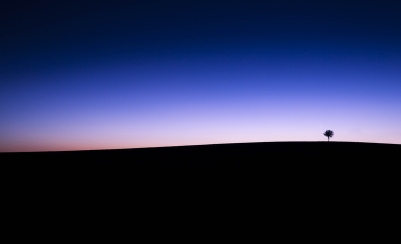 5K, tranquility, silhouette, silhouette horizon, one animal, distant, horizon over land, environment, looking at view, land, animal, standing, copy space