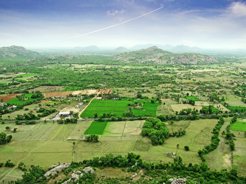 peace, agriculture, expanse, expedition, rural, s, cultured, humid climate, distance, above, asia, altitude, outdoors, plant, day, horizon, nature, summer