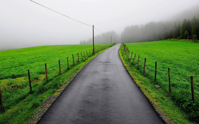 2K, nature, asphalt, forest, fence, mist, green, road, trees, grass