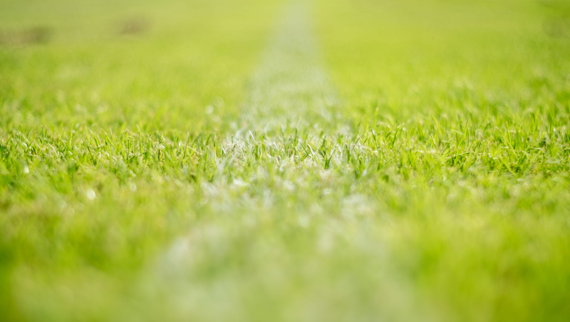 outdoors, playing field, lens, lawn, backgrounds, ussr, plant, land, grass, turf, bright, 4K, line, football, field, jupiter 8, bokeh, vintage, springtime