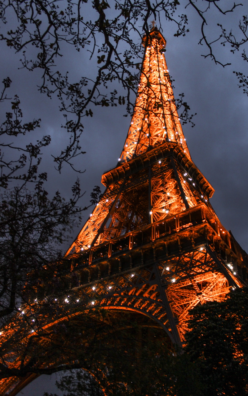 4K, sky, religion, twilight, tree, history, nature, romantic, eiffel Tower, architecture, europe, building exterior, tourism, lights, light, low angle view