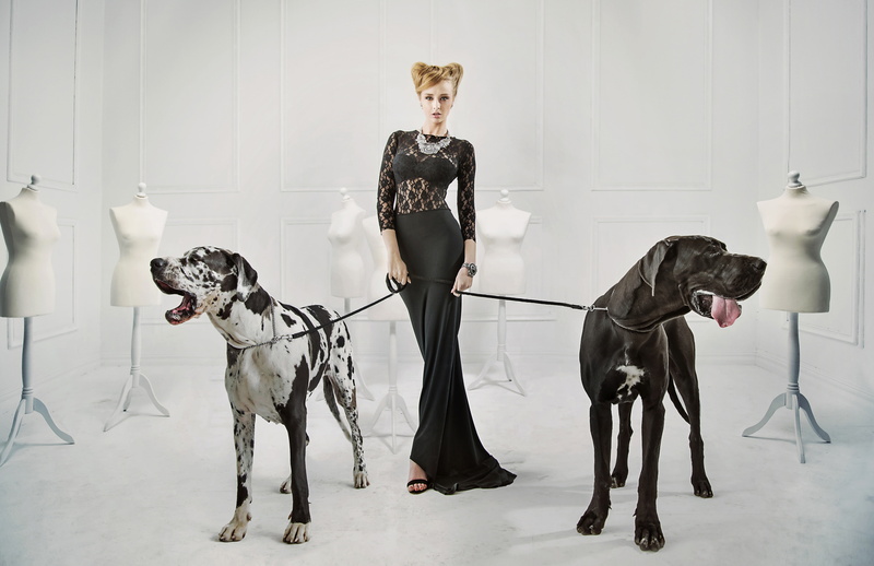 makeup, grace, in black, necklace, leashes, dogs, great Dane, figure, blonde, dress, beauty, girl, hairstyle, 5K, pose, mannequins, decoration