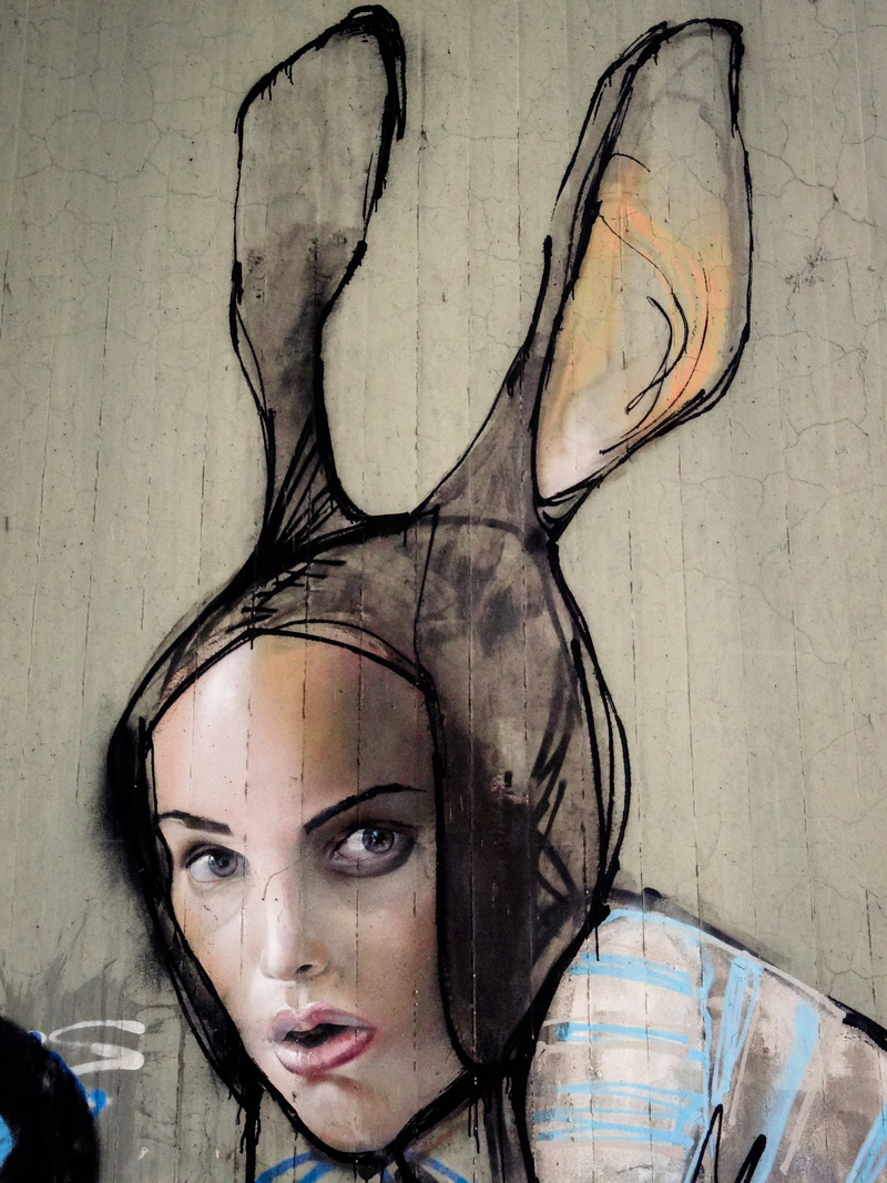 modern art, beautiful woman, mask, head, hare, color, digital composite, lifestyles, rabbit ears, adults only, young women, spray, painted wall, urban art