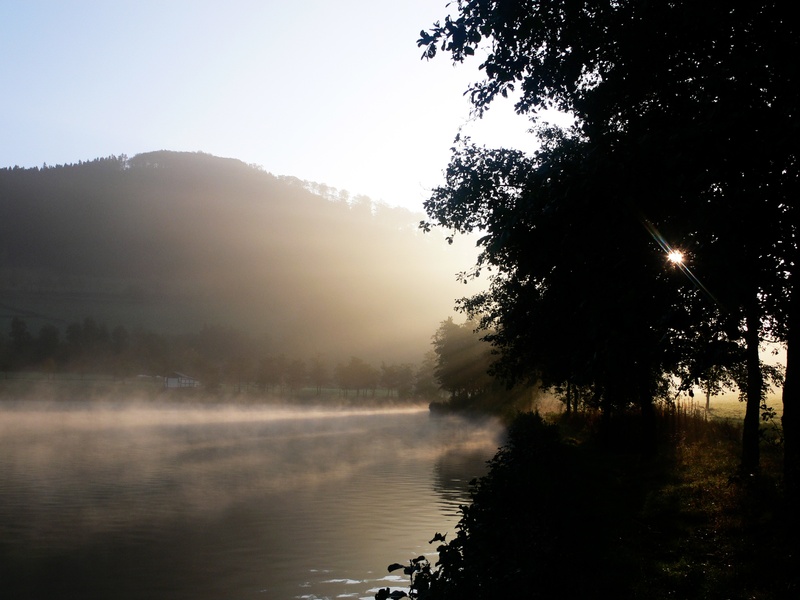 no people, fog, growth, sky, tree, beauty in nature, romance, contour, light, tranquil scene, plant, sun, lake, shadow, romantic, back light, non-urban scene