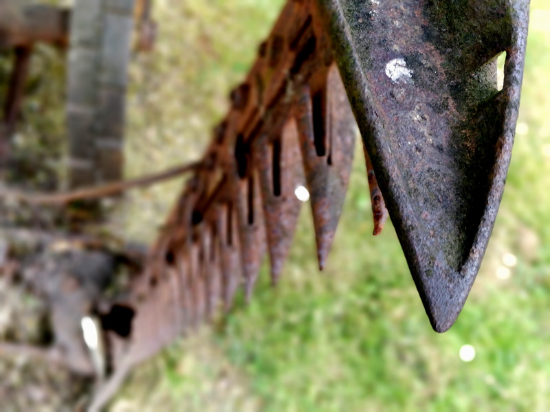growth, scotland, moss, plant, classic, trunk, no people, glencoe visitors centre, metal, farm machinery, tree, hanging, outdoors, 4K, selective focus