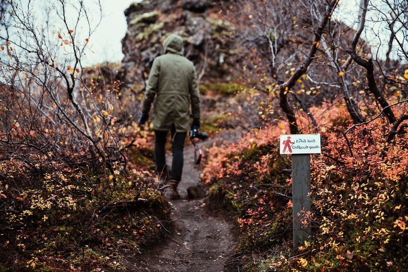 leisure activity, outdoor, leaves, field, person, tree, bush, 2K, rear view, sign, carrying, landscape, man, walking, forest, day, lifestyles, mountain
