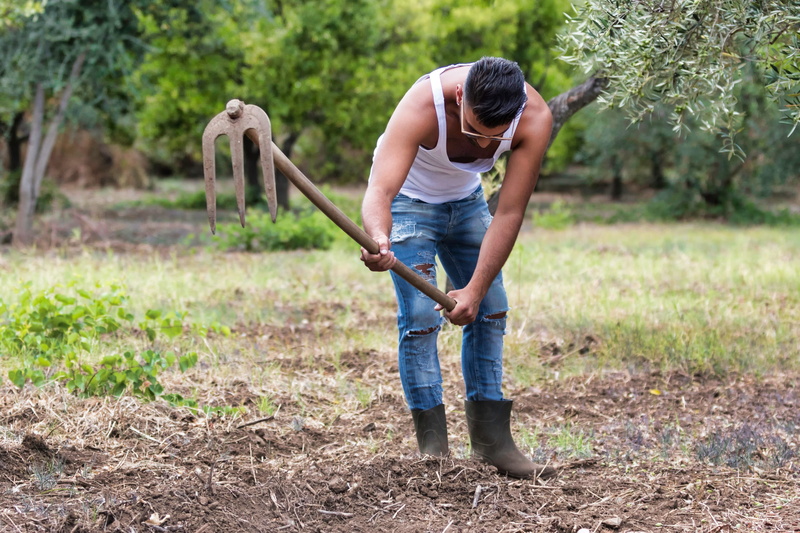 nature, land, straw, adult, 5K, growth, drought, agriculture, wheat, one person, dry, plant, tree, farmer, sods, farm, day, earth, jeans, casual clothing