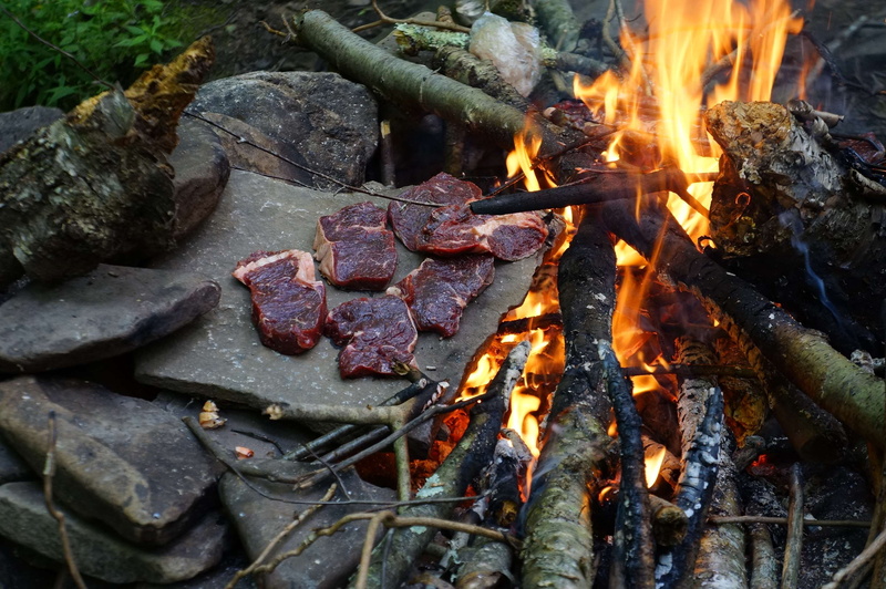 fire, wood, nature, preparation, 2K, food, no people, burning, flame, west virginia, meat, preparing food, dolly sods, bonfire, heat - temperature, wilderness