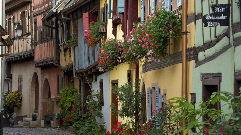 Flower, Towns, Eguisheim, France, House, 1080P, Street, Village