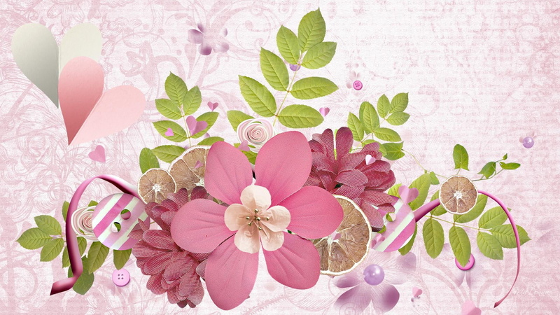 leaves, vintage, pink, flowers, artistic, fragrant, buttons, spring, summer, fern, nature, mauve, 1080P, celebration