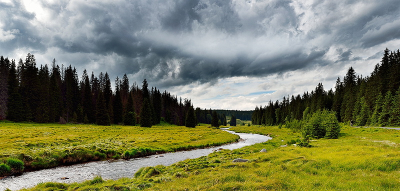 the way forward, plant, no people, water, river, coniferous tree, tranquility, land, mountain, bay, pine tree, woodland, scenics, 2K, landscape, grass
